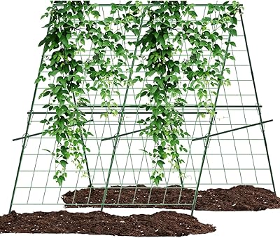 Cucumber Trellis,A-Shape Garden Trellis for Raised Beds with Climbing Net,Plant Support for Climbing Plants Outdoor,47x47inch Metal Vegetables Trellis